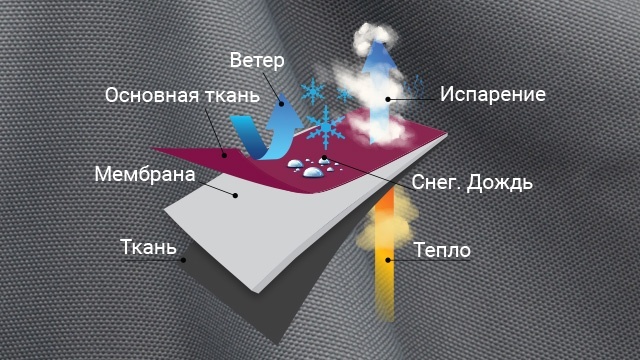 Мембрана в ткани — её функции и основные характеристики